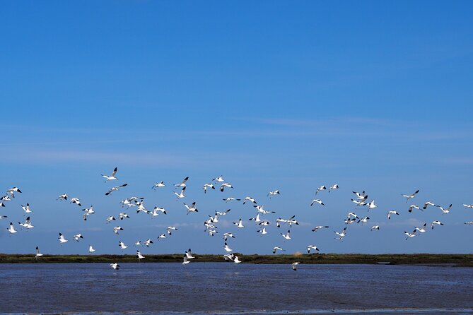 Private Tour 6 hours by Boat on the Tagus - Crossing to Praia do Seixal: A Far-Bank Break Where You Can Slow Down