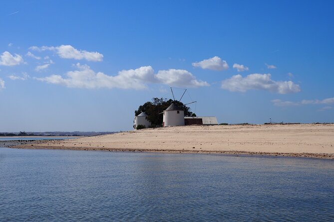Private Tour 6 hours by Boat on the Tagus - Who This Tour Best Suits (and Who Might Want Something Else)