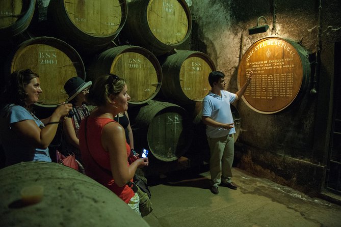 Private Tour: Arrábida Day Trip from Lisbon Including Wine Tasting - Family Winery Visit in Arrábida Natural Park: Cellars, Then Tasting