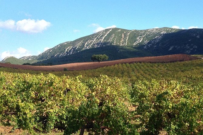 Private Tour: Arrábida Day Trip from Lisbon Including Wine Tasting - Full-Day Upgrade: Sesimbra Beach Time and Azeitao Wine Cellar