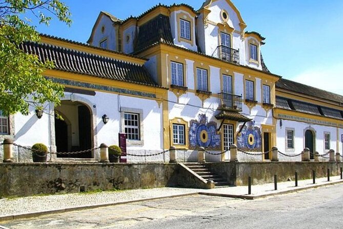 Private tour Arrábida, Sesimbra from Lisbon - Portinho da Arrábida: Protected Coves, Caves, and Summer Access Rules