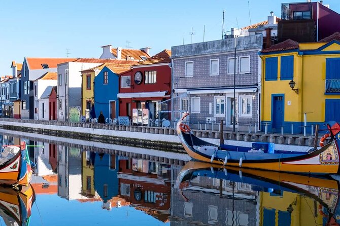 Private tour DE Lisbon to Porto with stops in cities - What the ride experience is like: professional, attentive, and organized