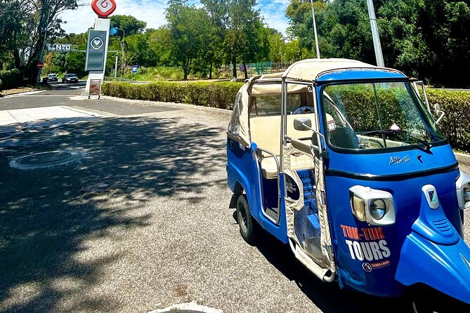 Private Tour DE Tuk Tuk Chiado and Bairro Alto in Lisbon - Miradouro São Pedro de Alcântara: The View That Gets You Oriented