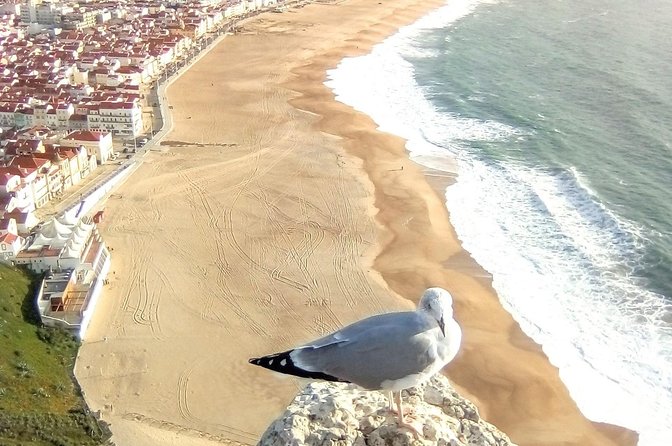 Private tour for 1 to 4 people: Fátima, Batalha, Nazaré and Óbidos - Nazaré’s Fort São Miguel Arcanjo: viewpoints with Atlantic drama