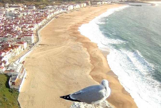 Private tour for 1 to 8 people: Fátima, Batalha, Nazaré and Óbidos - Who this tour fits best (and who might want to look elsewhere)