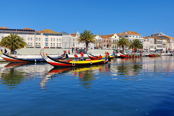 Private Tour from Lisboa to Aveiro and Porto - Timing and Meeting Point: How the 11–12 Hours Works