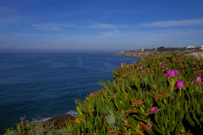 Private Tour From Lisbon: Sintra Mystic Trail in Five Hours - Lunch with a local recommendation: what to expect
