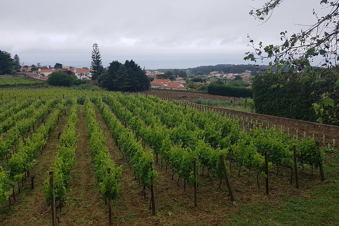 Private Tour from Lisbon to Sintra, Cabo da Roca, Cascais and Estoril - How the Photo Help Makes a Big Difference