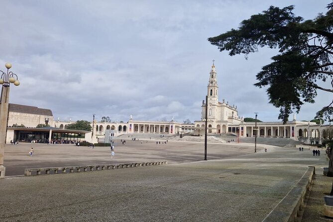 Private Tour from Porto to Lisbon with Stops - Stop 2: Coimbra and the University Library Timing Reality