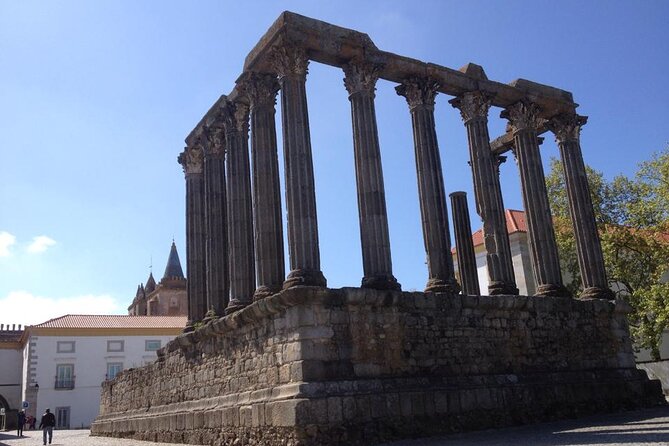 Private Tour in Evora and Monsaraz with Wine Tasting - Corticarte cork factory: from cork oaks to the finished product