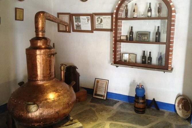Private Tour in Evora and Monsaraz with Wine Tasting - São Pedro do Corval pottery: watching hands make tradition
