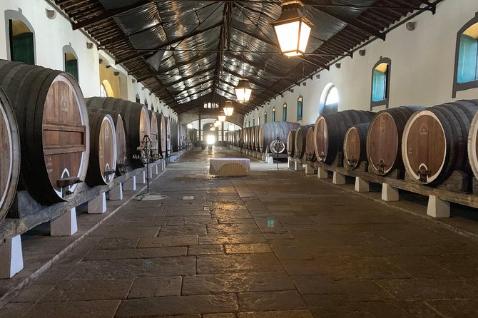Private Tour, Pena Palace,Sintra,Cascais and Full Day Wine Tasting - Price and Value: Is $179.56 Worth It?