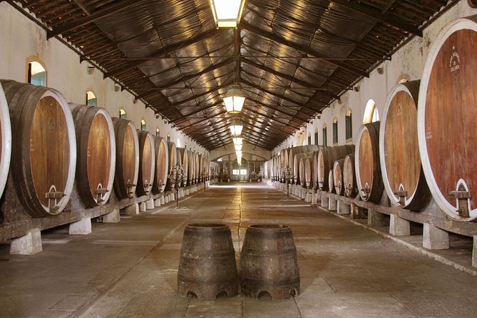 Private Tour, Pena Palace,Sintra,Cascais and Full Day Wine Tasting - What You’ll Learn and See, Stop by Stop