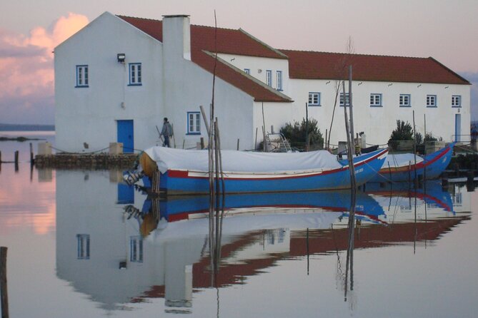 Private Tour to Arrabida with Wine and Cheese Tasting at the Mourisca Tide Mill - Mercado do Livramento: fish market energy with tile art history