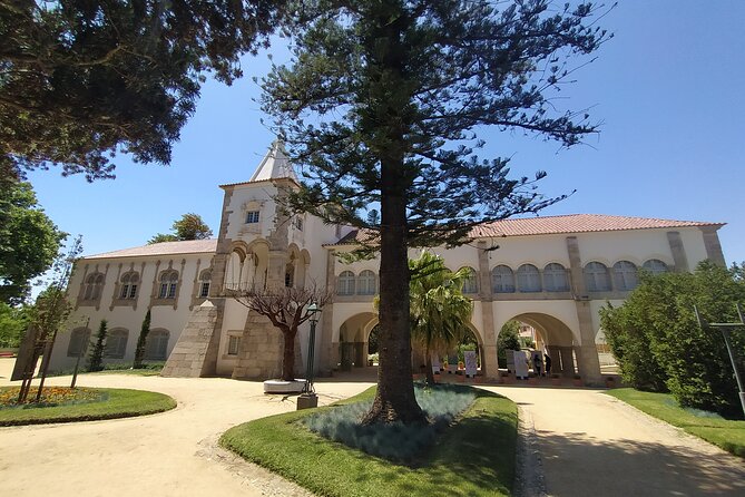 Private Tour to Évora with Wine tasting - Fitapreta Vinhos wine tasting: turning a history day into a tasting day