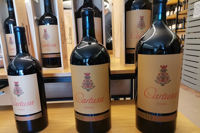 Private Tour to Evora with wine tasting at the Cartuxa Winery - A private day trip from Lisbon: the value is in the time you save