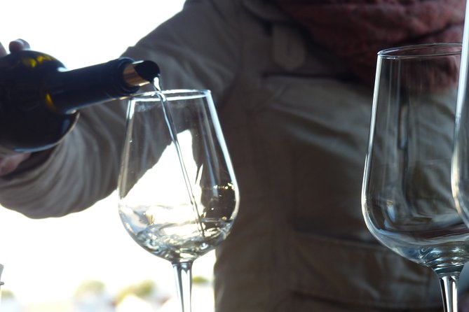 Private Tour to Evora with wine tasting at the Cartuxa Winery - Igreja de São Francisco and the Chapel of Bones: yes, it’s weird—and that’s the point