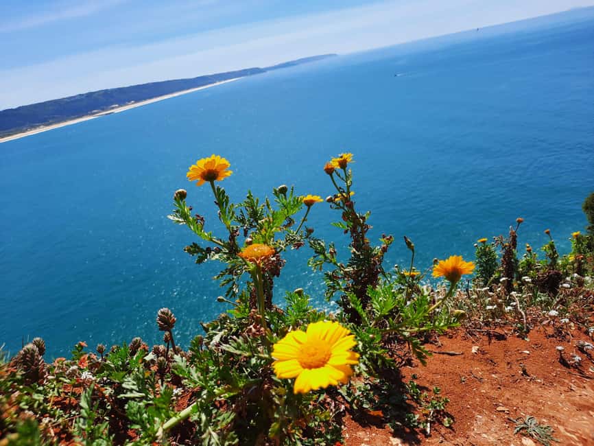 Private tour to Nazaré, Alcobaça, and Obidos from Lisbon - Van comfort and the small-group advantage