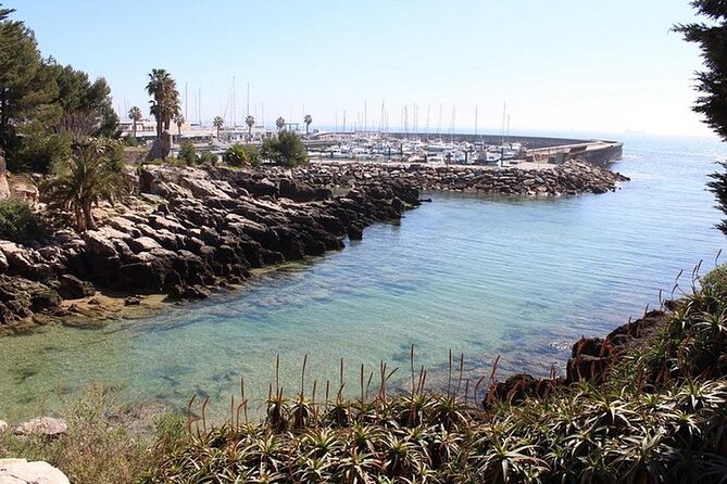 Private tour to Sintra, Cabo da Roca and Cascais Half Day - Comfort, vehicle setup, and what’s included for your $92.77