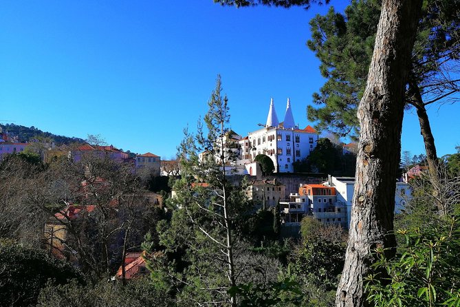 Private Tour to Sintra & Pena Palace, Cascais & Roca - Pena Palace grounds: what guided time buys you