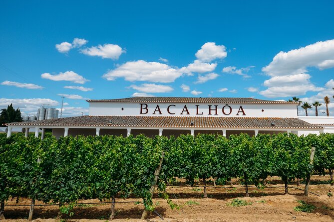 PRIVATE TOUR WINE TASTING QUINTA BACALHÔA & JOSÉ MARIA FONSECA (Setubal Region) - Private Setúbal wine tasting with hotel pickup: how the day is paced