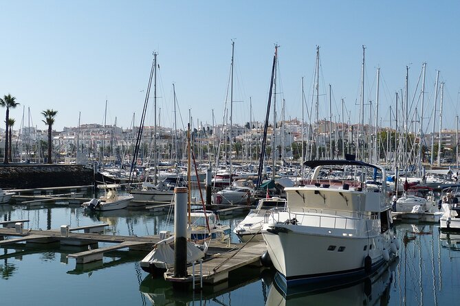 Private transfer from Lisbon to Lagos with 2 hours sightseeing - Comfort details that matter more than you think