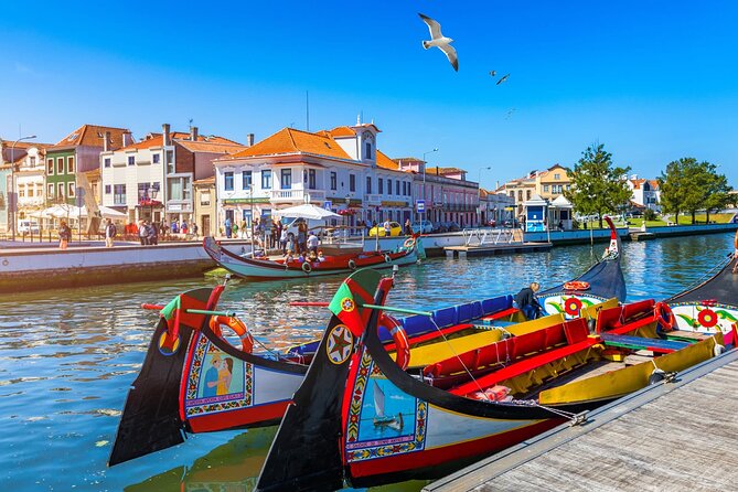 Private Transfer from Lisbon to Porto with Tour - Aveiro Canals and Moliceiro Boats: the Portuguese Venice Angle