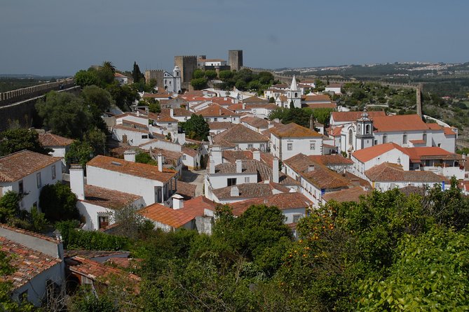 Private Transfer Lisbon-Porto with 2 (two) visits - Aveiro: Canal City, Moliceiros, and Art Nouveau Details
