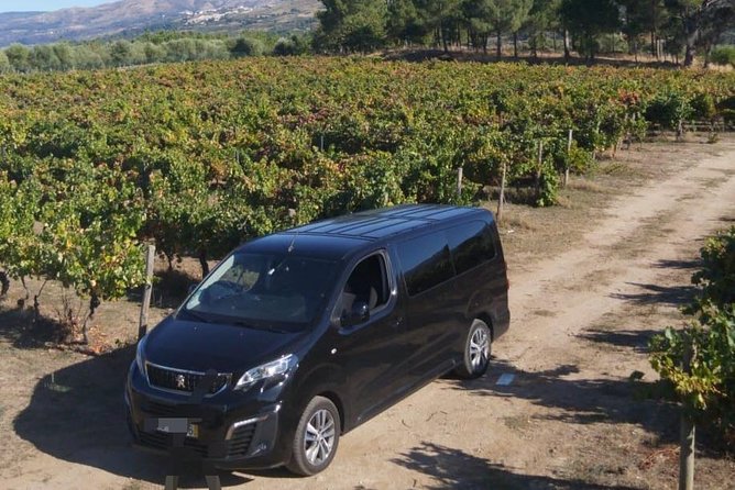 Private transfer - Lisbon - Inside the ride: timing, comfort, and language help