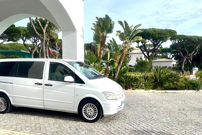 Private Transport in Lisbon - Professional guides: what the service feels like in practice