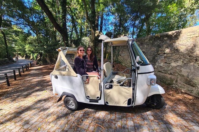 Private Tuk Tuk Tour around Magical Sintra and Coastline - Stop 1: Park and National Palace of Pena