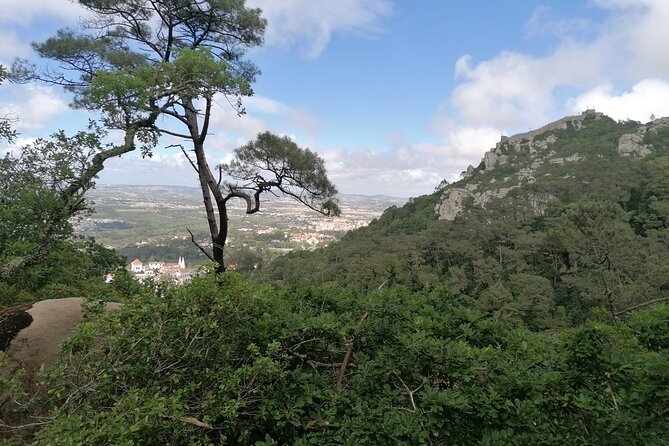 Private Tuk Tuk Tour through Serra de Sintra - Price and Value: What You Pay vs. What You’ll Still Spend