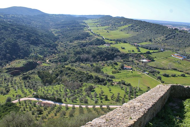 Private Wine Tasting in the Setúbal Wine Region, from Lisbon - Lisbon to Setúbal: why this private format is the smart move