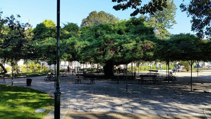 Queer Lisbon - A Treasure Hunt in LGBT History - Key highlights worth planning around
