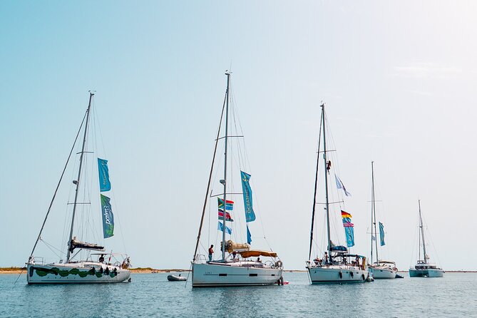 Sailing Experience in Lisbon - Portugal - Where the river meets the ocean: the water-difference moment