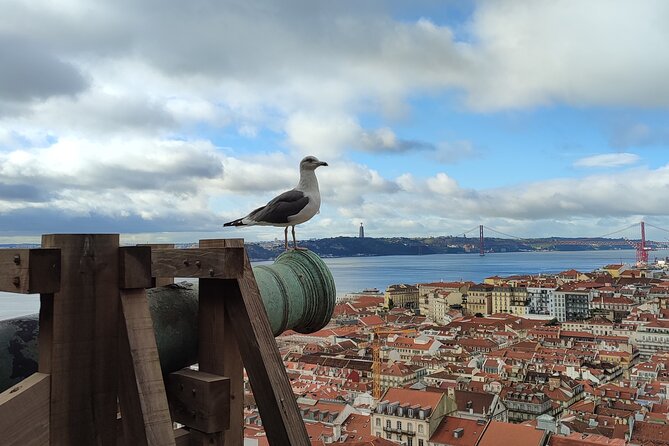 Saint George Castle Guided Tour from Lisbon - Meeting Point and Getting There: Starting Easy in Lisbon