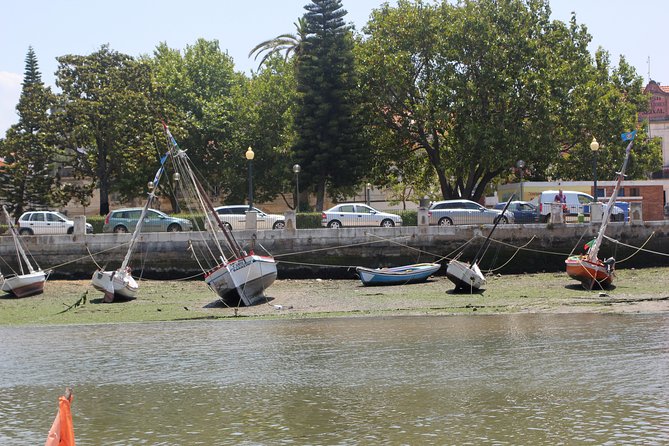 Seixal Sailing Cruise - Lunch in a typical restaurant - Price and Value: What $107.23 Buys You