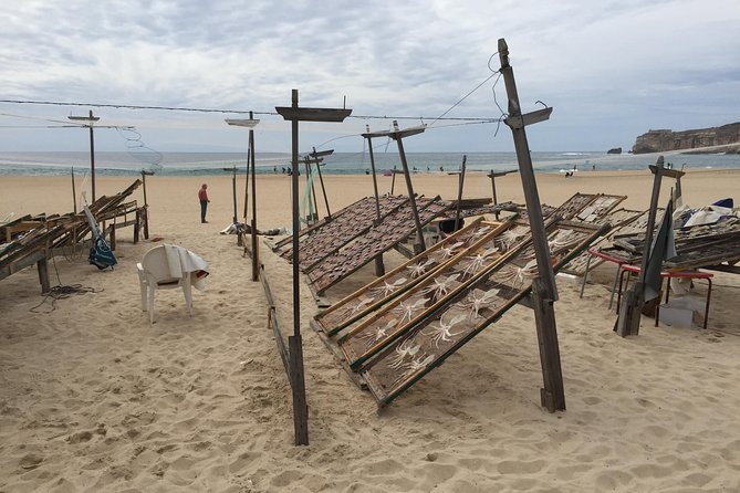 Sesimbra, Azeitao and Setubal Private Tour with Wine Tasting - Setúbal’s port life: fishing, canning, and Bocage Square time
