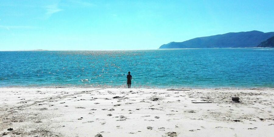 Sesimbra e Arrábida Natural Park: 1 Day Tour & Wine Tasting - Ponte 25 de Abril and the Tejo Estuary quick-view lesson