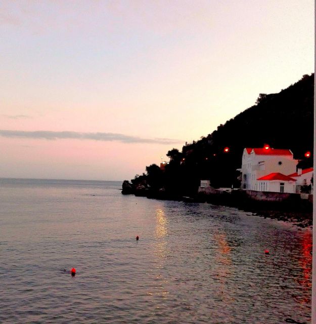 Sesimbra e Arrábida Natural Park: 1 Day Tour & Wine Tasting - Two wineries, a Roman-era wine museum, and local tile crafts