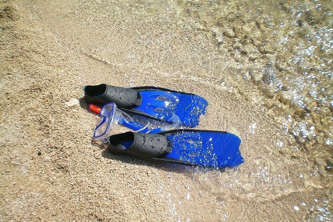 Sesimbra Wild Beach Tour from Lisbon - Transport in a private vehicle: comfortable, with one risk to watch