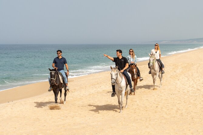 Setubal & Comporta Trip with Horseback Riding from Lisbon - Setúbal and Comporta: the point of this trip