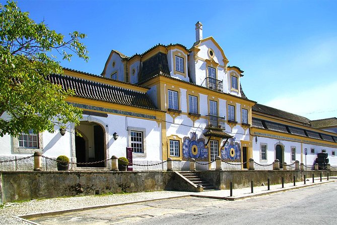 Setúbal Private Full Day Wine Tour with Tasting and Lunch at the Beach - Key things to know before you go