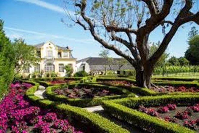 Setúbal Private Full Day Wine Tour with Tasting and Lunch at the Beach - Bridge-to-views start: Ponte 25 de Abril and Cristo Rei