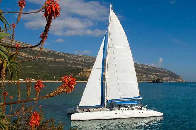 Setúbal Private Tour - Including Dolphin Watching - Sesimbra Coast on the Way Back: Castle Views and Cabo de Espichel