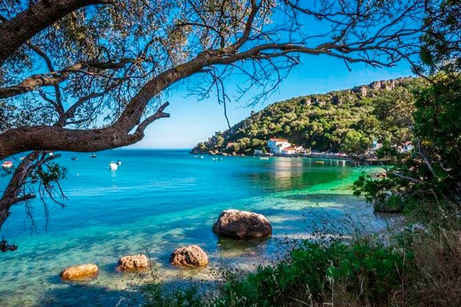 Setúbal Private Tour - Including Dolphin Watching - Who This Tour Fits Best (and Who Might Prefer Something Else)