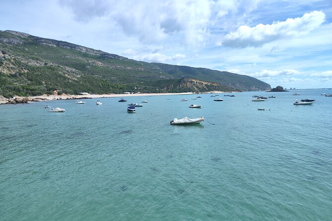 Setúbal,Sesimbra & Palmela - Private tour, Nature & Culture - Setting Off From Lisbon: Pickup, timing, and how you’ll pace the day