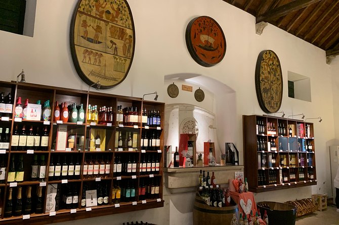 Setúbal Wine Tour with Visit and Tasting at 2 Wineries - Stop 4: Farm Catralvos as the alternative-style stop
