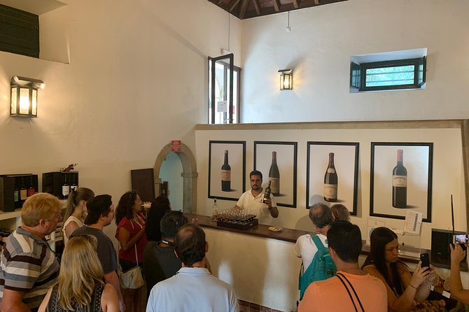 Setúbal Wine Tour with Visit and Tasting at 2 Wineries - Tastings: up to five wines, and how to taste with a plan