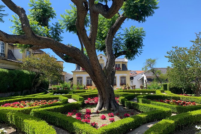 Setúbal Wine Tour with Visit and Tasting at 2 Wineries - Price and logistics: what you get for $117.96